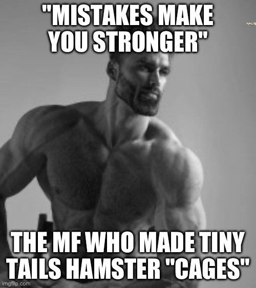 Buff guy | "MISTAKES MAKE YOU STRONGER"; THE MF WHO MADE TINY TAILS HAMSTER "CAGES" | image tagged in buff guy | made w/ Imgflip meme maker