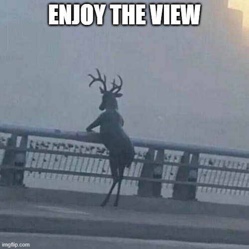 They Stand Up and Gaze Now | ENJOY THE VIEW | image tagged in cursed image | made w/ Imgflip meme maker