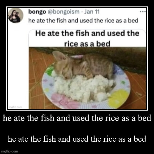 he ate the fish and used the rice as a bed | he ate the fish and used the rice as a bed | image tagged in funny,demotivationals | made w/ Imgflip demotivational maker