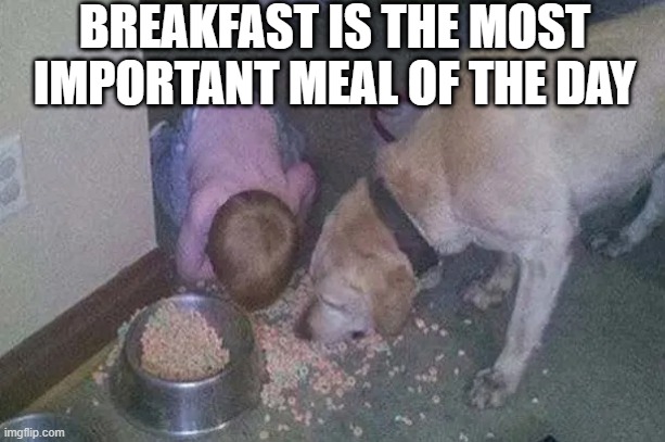 Breakfast | BREAKFAST IS THE MOST IMPORTANT MEAL OF THE DAY | image tagged in cursed image | made w/ Imgflip meme maker