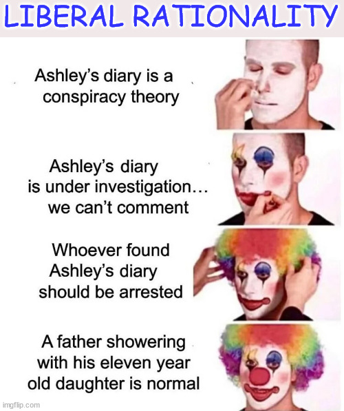 Liberal rationalization... ignore the election interference. | LIBERAL RATIONALITY | image tagged in ashley biden,showers with dad,pedo,joe biden,media lied,fbi lied | made w/ Imgflip meme maker