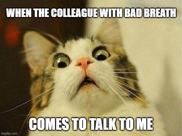 Bad breath | WHEN THE COLLEAGUE WITH BAD BREATH; COMES TO TALK TO ME | image tagged in memes,scared cat | made w/ Imgflip meme maker