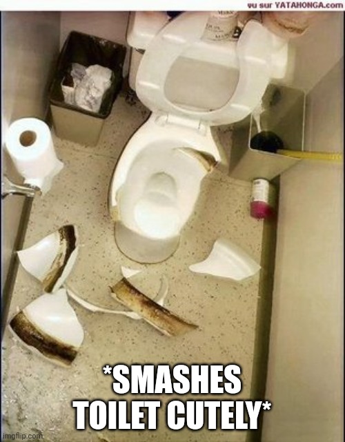 Broken toilet | *SMASHES TOILET CUTELY* | image tagged in broken toilet | made w/ Imgflip meme maker