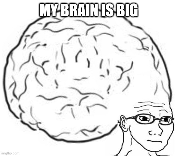 Big Brain | MY BRAIN IS BIG | image tagged in big brain | made w/ Imgflip meme maker