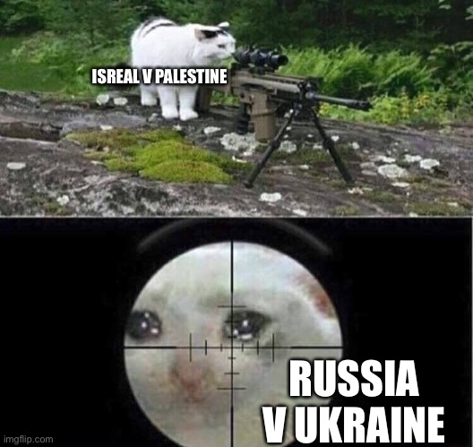 True meme | ISREAL V PALESTINE; RUSSIA V UKRAINE | image tagged in sniper cat | made w/ Imgflip meme maker