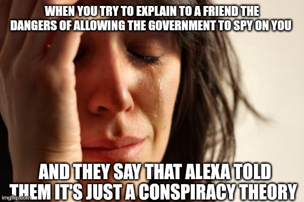 They really are everywhere | WHEN YOU TRY TO EXPLAIN TO A FRIEND THE DANGERS OF ALLOWING THE GOVERNMENT TO SPY ON YOU; AND THEY SAY THAT ALEXA TOLD THEM IT'S JUST A CONSPIRACY THEORY | image tagged in memes,first world problems | made w/ Imgflip meme maker