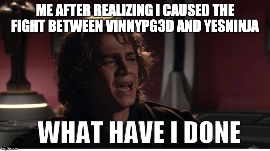 Anakin what have i done | ME AFTER REALIZING I CAUSED THE FIGHT BETWEEN VINNYPG3D AND YESNINJA | image tagged in anakin what have i done | made w/ Imgflip meme maker