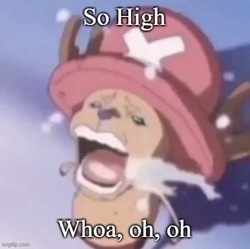 Chopper crying | So High Whoa, oh, oh | image tagged in chopper crying | made w/ Imgflip meme maker