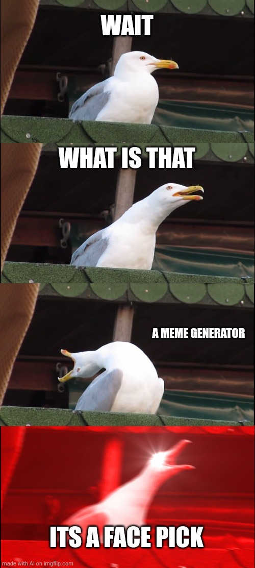 Meme Generator | WAIT; WHAT IS THAT; A MEME GENERATOR; ITS A FACE PICK | image tagged in memes,inhaling seagull | made w/ Imgflip meme maker