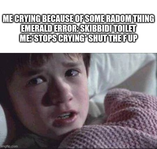 True story I know emerald error irl | ME CRYING BECAUSE OF SOME RADOM THING 
EMERALD ERROR: SKIBBIDI TOILET 
ME:*STOPS CRYING* SHUT THE F UP | image tagged in memes,i see dead people | made w/ Imgflip meme maker