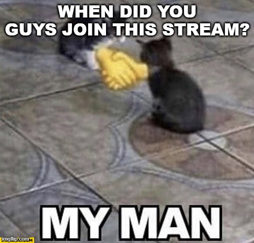 i joined october 2023 | WHEN DID YOU GUYS JOIN THIS STREAM? | image tagged in cats shaking hands | made w/ Imgflip meme maker