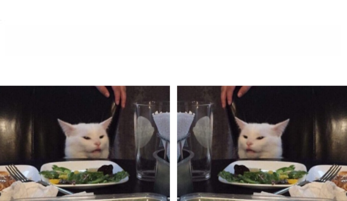 High Quality Cat looking at cat Blank Meme Template