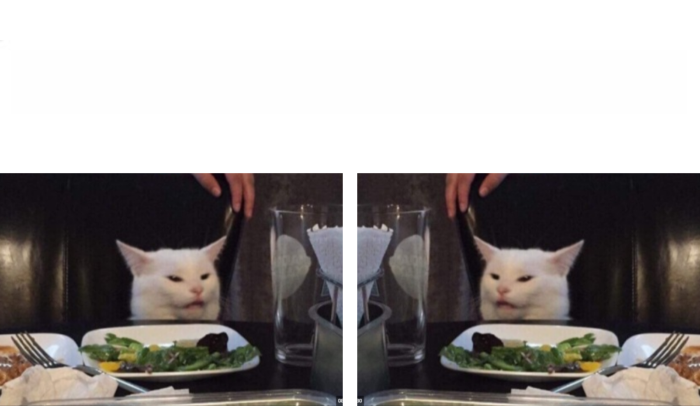 Cat looking at cat Blank Meme Template