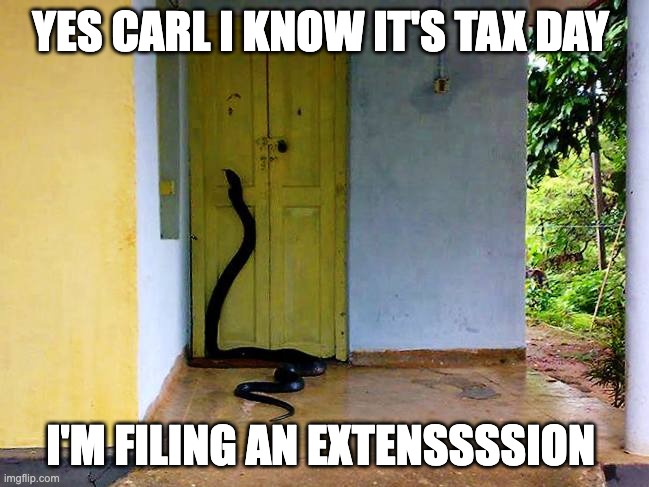 Snake at Door | YES CARL I KNOW IT'S TAX DAY; I'M FILING AN EXTENSSSSION | image tagged in snake at door | made w/ Imgflip meme maker