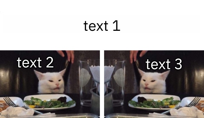 New template: cat looking at cat | text 1; text 2; text 3 | image tagged in cat looking at cat | made w/ Imgflip meme maker
