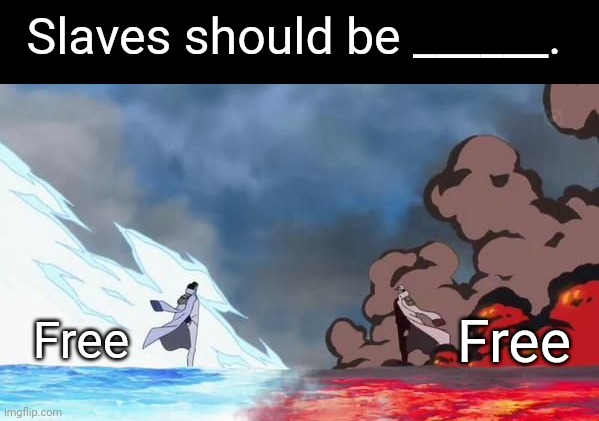 They should be free | Slaves should be ______. Free; Free | image tagged in one piece akainu vs aokiji,front page plz,anime,dark humor | made w/ Imgflip meme maker