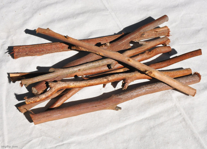 Bundle of Sticks | image tagged in bundle of sticks | made w/ Imgflip meme maker