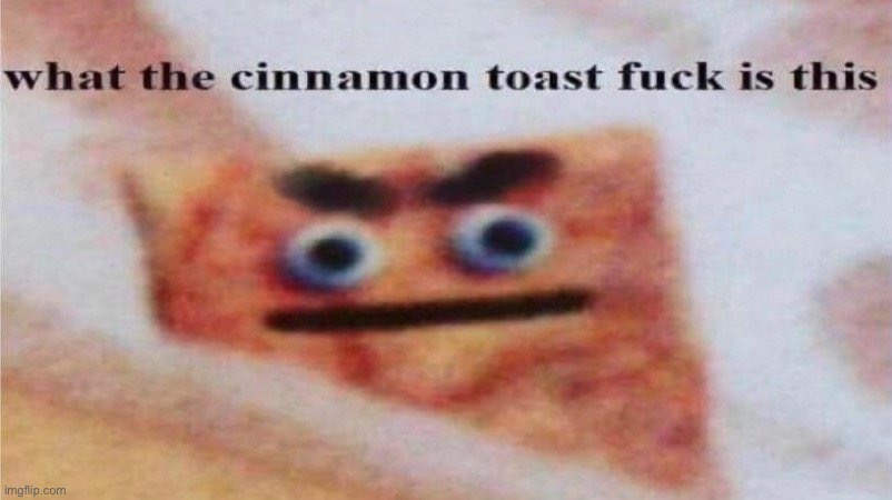 what the cinnamon toast... | image tagged in what the cinnamon toast | made w/ Imgflip meme maker