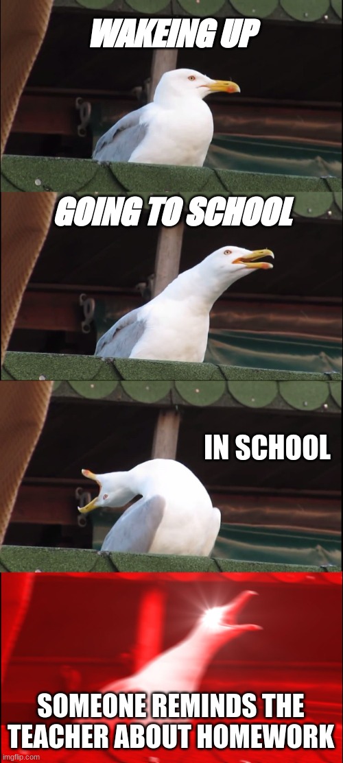 eh]AH | WAKEING UP; GOING TO SCHOOL; IN SCHOOL; SOMEONE REMINDS THE TEACHER ABOUT HOMEWORK | image tagged in memes,inhaling seagull | made w/ Imgflip meme maker