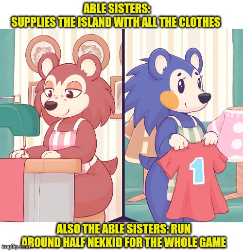 But why? Why would you do that? | ABLE SISTERS: SUPPLIES THE ISLAND WITH ALL THE CLOTHES; ALSO THE ABLE SISTERS: RUN AROUND HALF NEKKID FOR THE WHOLE GAME | image tagged in but why why would you do that,able sisters,animal crossing | made w/ Imgflip meme maker