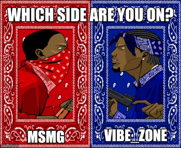 WHICH SIDE ARE YOU ON? | MSMG; VIBE_ZONE | image tagged in which side are you on | made w/ Imgflip meme maker