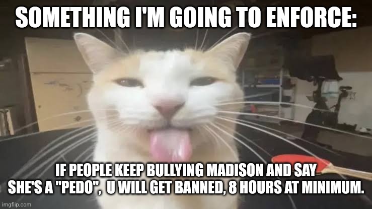 Just because she made a crude joke gives you NO right to pick on her | SOMETHING I'M GOING TO ENFORCE:; IF PEOPLE KEEP BULLYING MADISON AND SAY SHE'S A "PEDO",  U WILL GET BANNED, 8 HOURS AT MINIMUM. | image tagged in milly the silly cat bleh cat | made w/ Imgflip meme maker