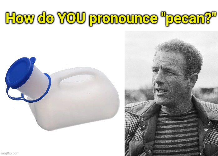 How do YOU pronounce "pecan?" | image tagged in nuts,pronunciation,funny | made w/ Imgflip meme maker