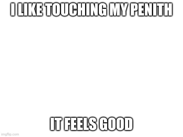 All fellow males can relate | I LIKE TOUCHING MY PENITH; IT FEELS GOOD | made w/ Imgflip meme maker