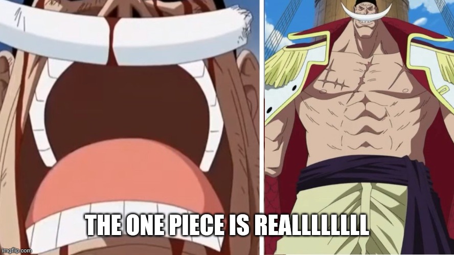 whitebeard the one piece is real | THE ONE PIECE IS REALLLLLLLL | image tagged in whitebeard the one piece is real | made w/ Imgflip meme maker