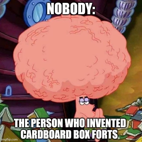 Cardboard box forts are still awesome | NOBODY:; THE PERSON WHO INVENTED CARDBOARD BOX FORTS | image tagged in patrick star big brains,jpfan102504 | made w/ Imgflip meme maker