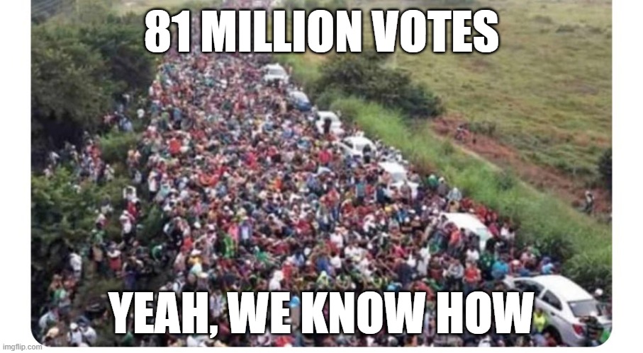 81M | 81 MILLION VOTES; YEAH, WE KNOW HOW | image tagged in fjb,voting,illegal immigration,immigration,illegal immigrant,voter fraud | made w/ Imgflip meme maker