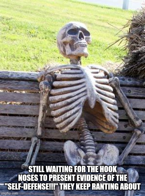 Waiting Skeleton Meme | STILL WAITING FOR THE HOOK NOSES TO PRESENT EVIDENCE OF THE "SELF-DEFENSE!!!" THEY KEEP RANTING ABOUT | image tagged in memes,waiting skeleton | made w/ Imgflip meme maker