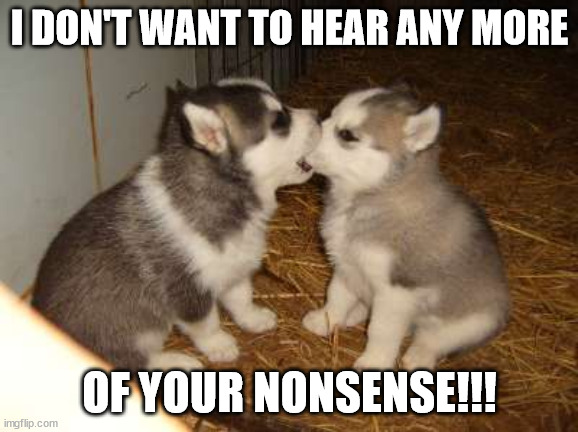 Cute Puppies Meme | I DON'T WANT TO HEAR ANY MORE; OF YOUR NONSENSE!!! | image tagged in memes,cute puppies | made w/ Imgflip meme maker
