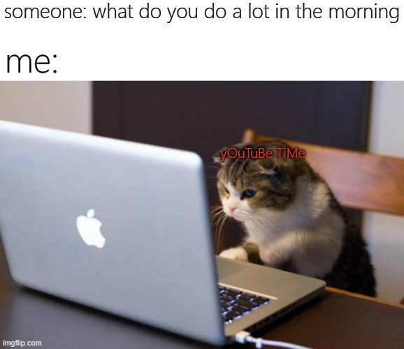 not all the time | someone: what do you do a lot in the morning; me:; yOuTuBe TiMe | image tagged in cat using computer,memes,funny,cats | made w/ Imgflip meme maker