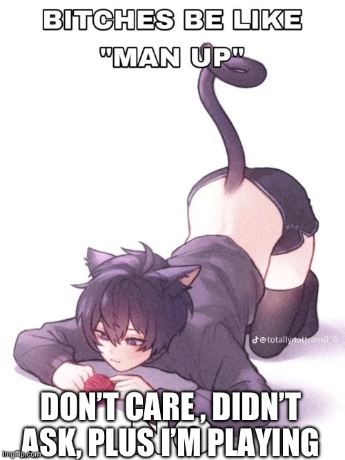 bitches be like | DON’T CARE , DIDN’T ASK, PLUS I’M PLAYING | image tagged in bitches be like | made w/ Imgflip meme maker