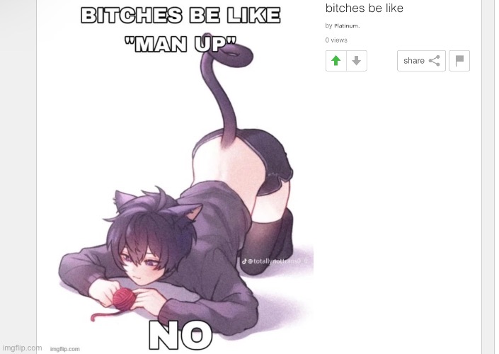 made w/ Imgflip meme maker