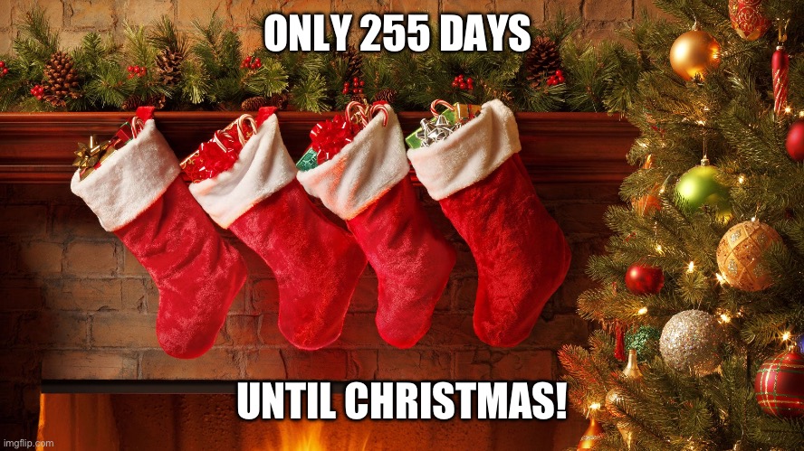 Only 255 days until Christmas! | ONLY 255 DAYS; UNTIL CHRISTMAS! | image tagged in christmas stockings | made w/ Imgflip meme maker