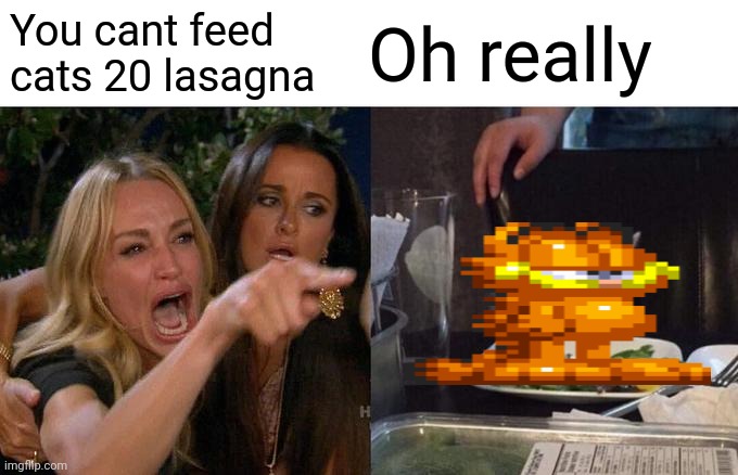 Woman Yelling At Cat Meme | Oh really; You cant feed cats 20 lasagna | image tagged in memes,woman yelling at cat | made w/ Imgflip meme maker