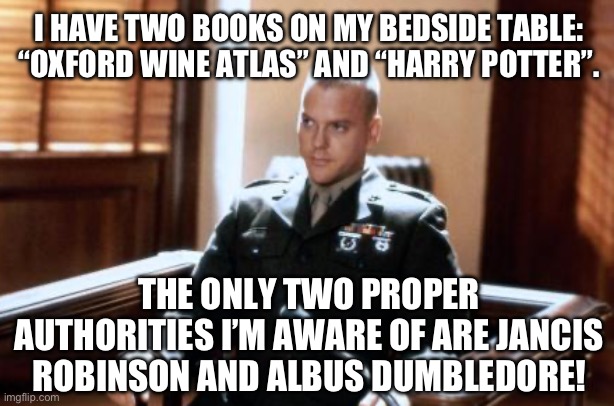 Proper authorities | I HAVE TWO BOOKS ON MY BEDSIDE TABLE: “OXFORD WINE ATLAS” AND “HARRY POTTER”. THE ONLY TWO PROPER AUTHORITIES I’M AWARE OF ARE JANCIS ROBINSON AND ALBUS DUMBLEDORE! | image tagged in a few good men | made w/ Imgflip meme maker