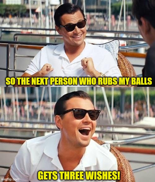 SO THE NEXT PERSON WHO RUBS MY BALLS GETS THREE WISHES! | image tagged in memes,leonardo dicaprio wolf of wall street | made w/ Imgflip meme maker