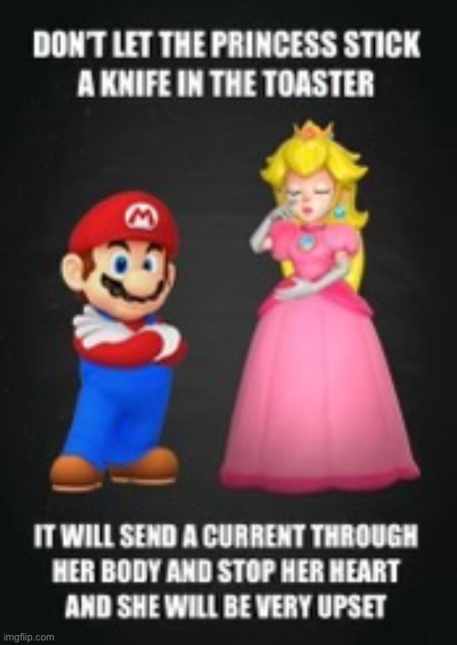 Don’t Let the Princess Stick a Knife in the Toaster | image tagged in memes,funny,funny memes,mario,certified bruh moment,stupid | made w/ Imgflip meme maker