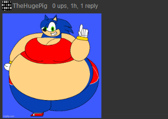 High Quality thp sonic fat Blank Meme Template