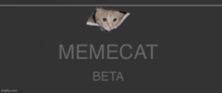 Am I trippin balls rn or is there a cat spying on my memechats | made w/ Imgflip meme maker