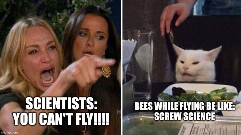 Scientist: YOU CAN'T FLY!!! | BEES WHILE FLYING BE LIKE:
SCREW SCIENCE; SCIENTISTS:
YOU CAN'T FLY!!!! | image tagged in bees | made w/ Imgflip meme maker