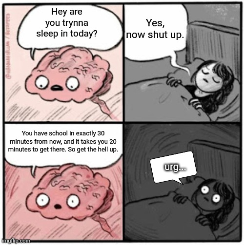 Everytime... | Yes, now shut up. Hey are you trynna sleep in today? You have school in exactly 30 minutes from now, and it takes you 20 minutes to get there. So get the hell up. urg... | image tagged in brain before sleep | made w/ Imgflip meme maker