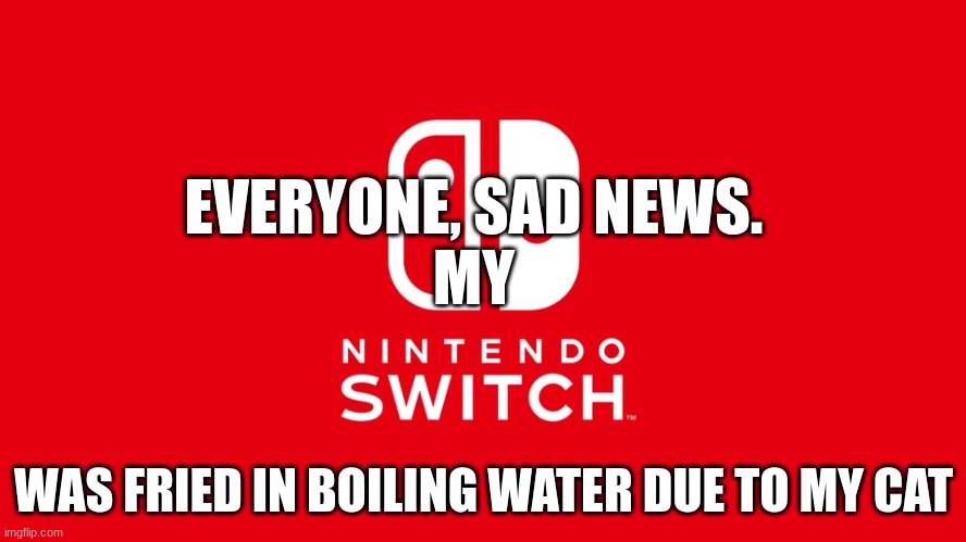 RIP my Switch. it was a good Device | EVERYONE, SAD NEWS.
MY; WAS FRIED IN BOILING WATER DUE TO MY CAT | image tagged in nintendo switch | made w/ Imgflip meme maker