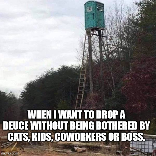 When I need to drop a deuce... | WHEN I WANT TO DROP A DEUCE WITHOUT BEING BOTHERED BY CATS, KIDS, COWORKERS OR BOSS. | image tagged in deuce,funny,true,outhouse | made w/ Imgflip meme maker