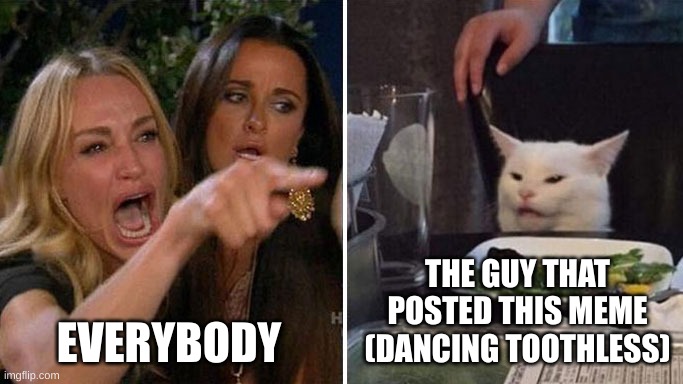 Angry lady cat | EVERYBODY THE GUY THAT POSTED THIS MEME (DANCING TOOTHLESS) | image tagged in angry lady cat | made w/ Imgflip meme maker