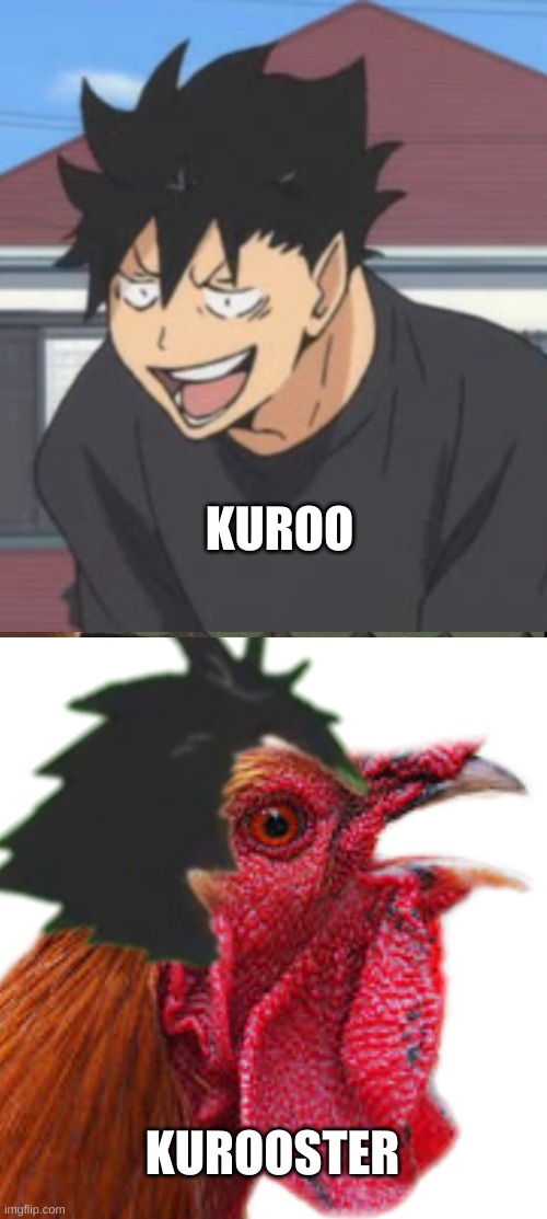 lol kuroo | KUROO; KUROOSTER | image tagged in who let the dogs out | made w/ Imgflip meme maker