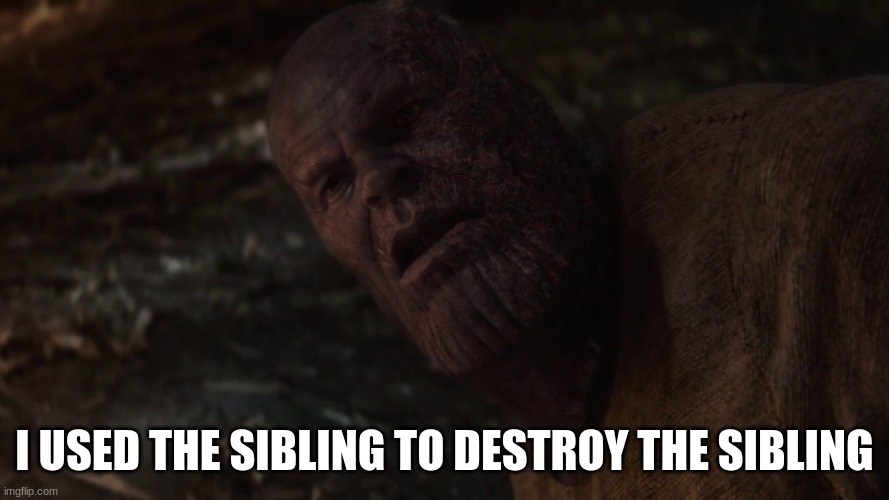 i used the stones to destroy the stones | I USED THE SIBLING TO DESTROY THE SIBLING | image tagged in i used the stones to destroy the stones | made w/ Imgflip meme maker